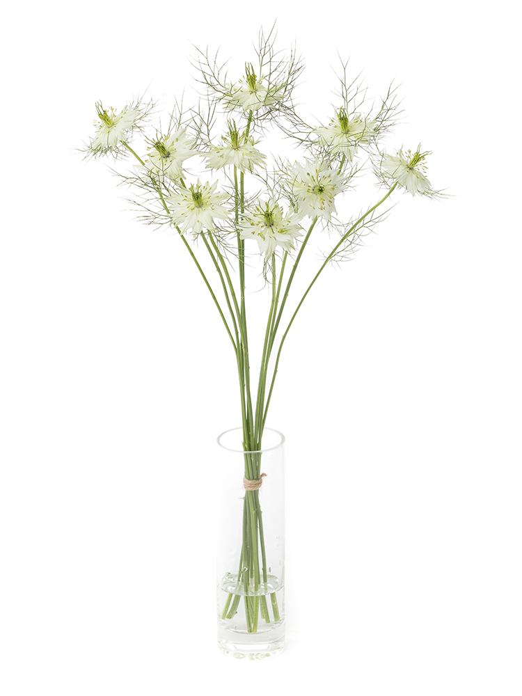 【生花】ニゲラ　品種おまかせ(白)の全体写真
