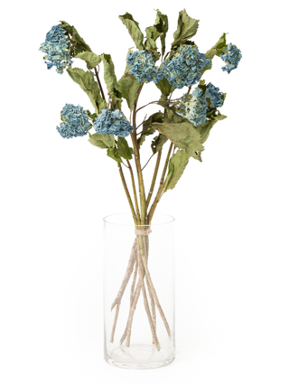 【ドライ】アジサイ(青)　品種おまかせ