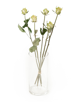 【ドライ】バラ ミントティー