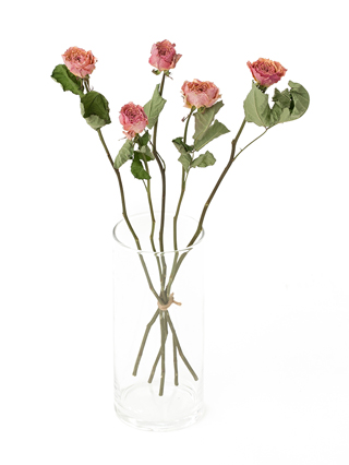 ドライ】バラ(ピンク) 品種おまかせ【40cm】｜Flower Smith