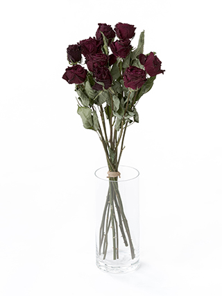 【ドライ】バラ　レッドエレガンス