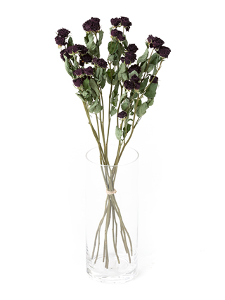 【ドライ】スプレーバラ(赤)　品種おまかせ