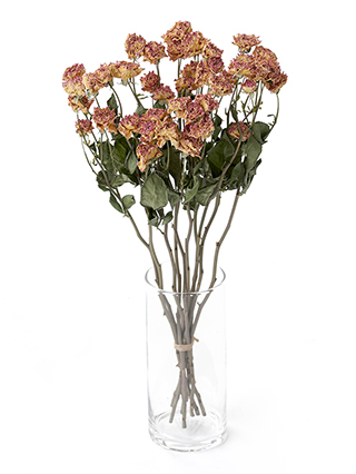 アネモネ　薔薇　カスミソウ　花びら　ヘッド　ドライフラワー　花材 アネモネ薔薇カスミソウ花びらヘッドドライフラワー花材
