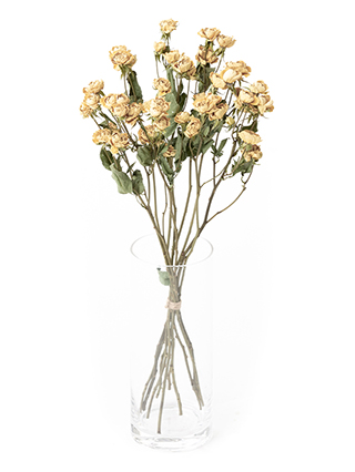 ドライフラワー 売れ筋ランキング: ドライフラワー｜Flower
