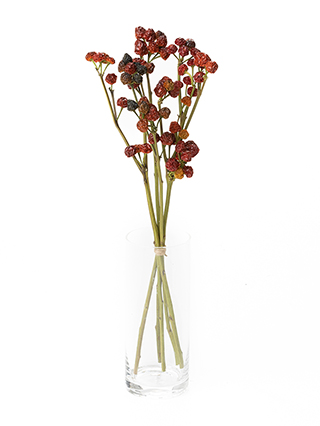 黒色 花模様 膳 兼弥産業 プラ鉢 黒 Aシリーズ – TaiShoDo ONLINE SHOP