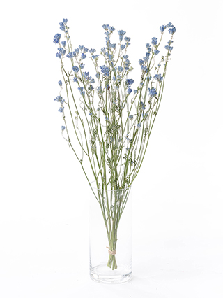 【ドライ】スプレーデルフィニウム プラチナブルー