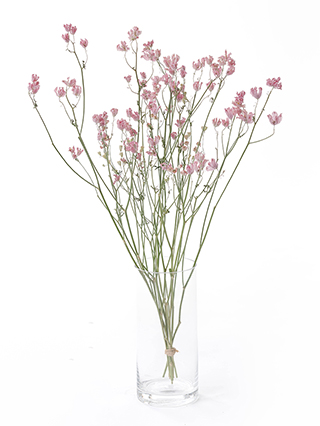 【ドライ】スプレーデルフィニウム　スーパーハッピー