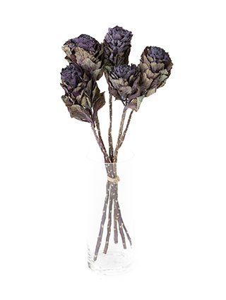 【ドライ】ハボタン(紫)　品種おまかせ