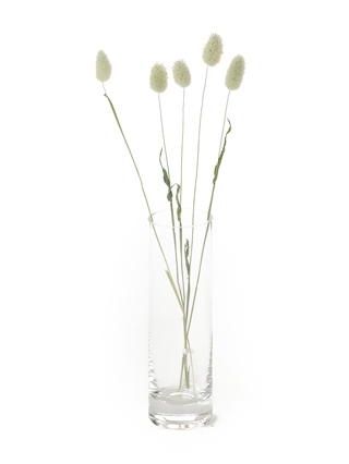 【ドライ】ラグラス　バニーテール