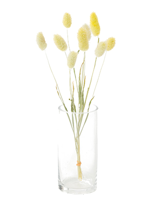 【ドライ】ラグラス(イエロー)　品種おまかせ