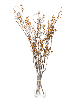 【ドライ】野バラ(オレンジ)　品種おまかせ