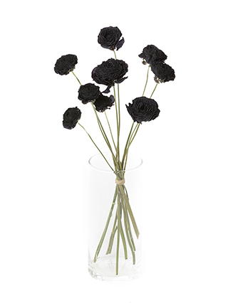 【ドライ】ラナンキュラス ギルタブ