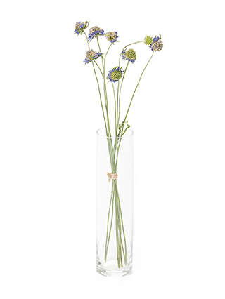 【ドライ】スカビオサ ラベンダースクープ