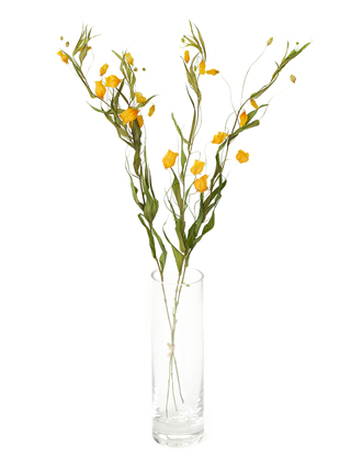 【ドライ】サンダーソニア(オレンジ)　品種おまかせ