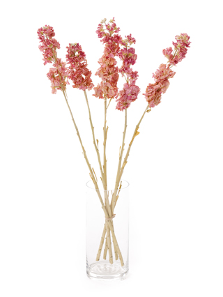 【ドライ】ストック アイアンピンク