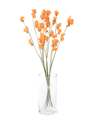 【ドライ】スイートピー(オレンジ)　品種おまかせ