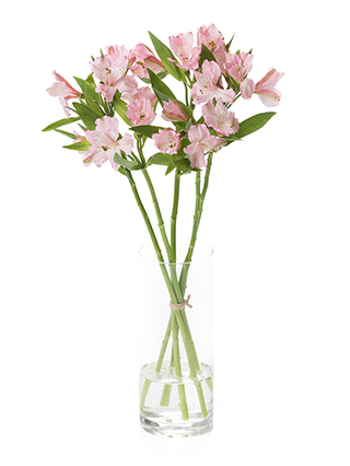 生花】アルストロメリア(紫) 品種おまかせ【60cm/愛知県】｜Flower Smith Market（フラワースミスマーケット）
