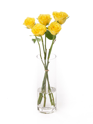 【生花】バラ(ケニア) グッドタイム