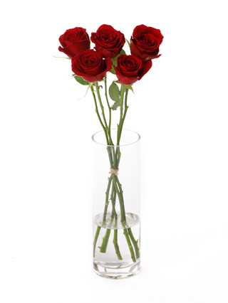 【生花】バラ(ケニア)赤 品種おまかせ