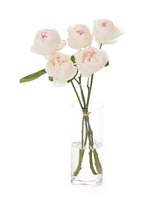 【生花】バラ ココット