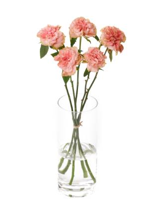 【入荷花材】バラ ラロック