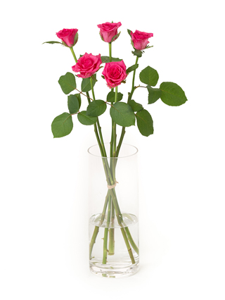 【生花】バラ ライラ