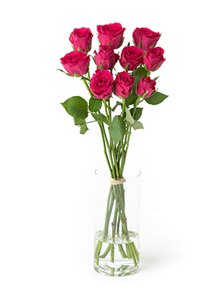 【生花】バラ マダムセリーズ