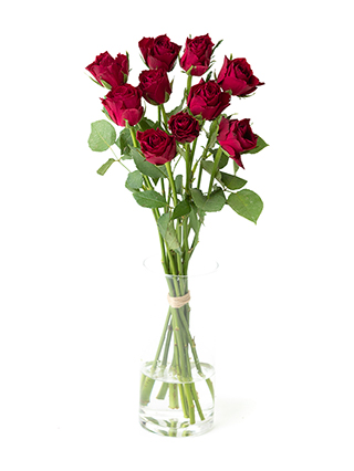 【生花】バラ マダムレッド