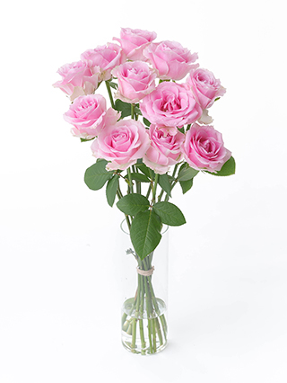 【生花】バラ ピンクアヴァランチェ＋