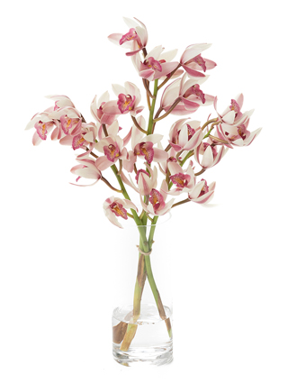 【生花】シンビジウム　クイーン