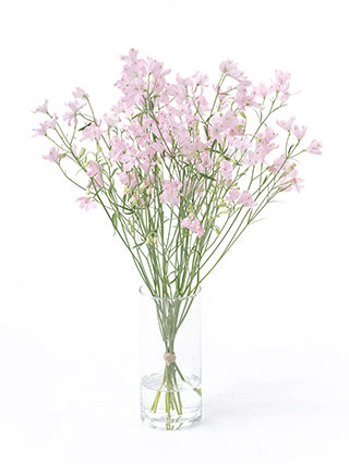 【生花】スプレーデルフィニウム(ピンク) 品種おまかせ