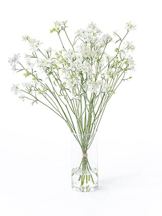 【激安激レア新品未開封見本盤非売品】花ホテル/麗花 8cm 深川製磁 (フカガワセイジ) 花瓶 白牡丹 8号｜トレファクONLINE