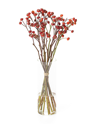 【生花】野ばら センセーショナルファンタジー