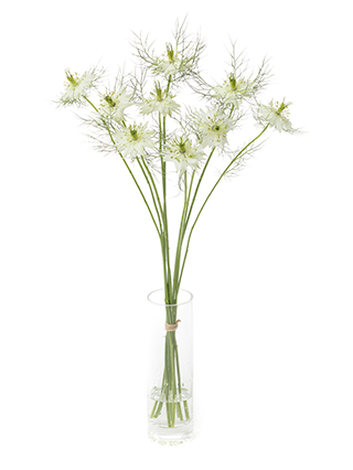 【生花】ニゲラ(白) 品種おまかせ