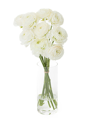 【生花】ラナンキュラス モンタンベール