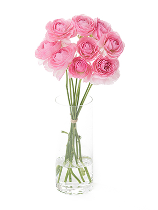 【生花】ラナンキュラス パルマドール