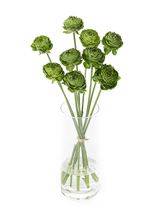 【生花】ラナンキュラス ポムロール