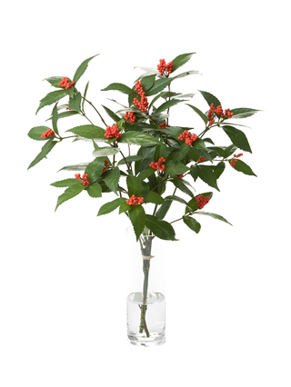 【生花】千両　2等