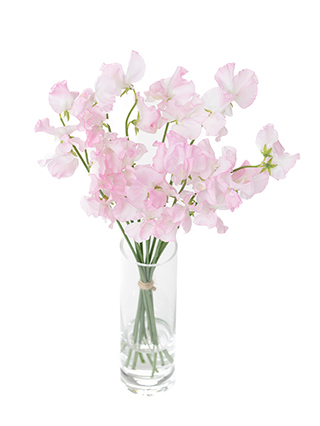 【生花】スイートピー(薄ピンク) 品種おまかせ　※花サイズ大