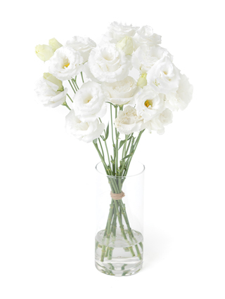 ［march］発送日8/11 供花 特注トルコキキョウ・菊他 march様専用］発送日8/11 140サイズ供花 特注トルコキキョウ・菊