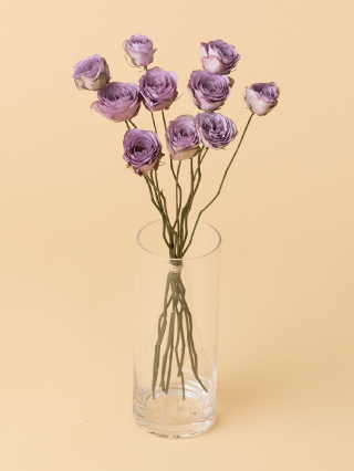 高級ドライ】バラ(紫) 品種おまかせ【50cm】｜Flower Smith