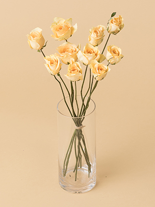 【高級ドライ】バラ　ピーチアヴァランチェ＋