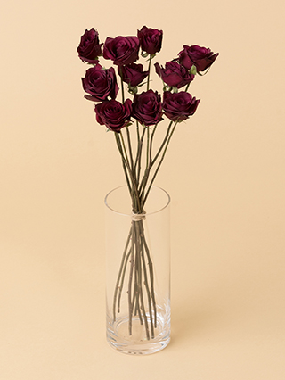 【高級ドライ】バラ　レッドスター