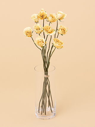 【高級ドライ】バラ　ソラーレ