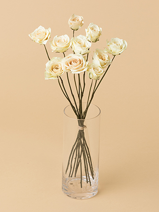 【高級ドライ】バラ　ティネケ