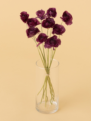 【高級ドライ】ラナンキュラス 紅てまり