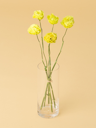 【高級ドライ】トルコキキョウ(フリンジ)緑　品種おまかせ