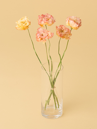 【高級ドライ】トルコキキョウ(フリンジ)ピンク　品種おまかせ