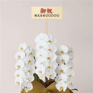 陶板　芍薬の花 黒壷の紅芍薬 – アートレンタルSEITOH