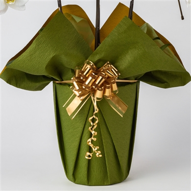 生花】バラ(紫) 品種おまかせ【60cm/山形県】｜Flower Smith